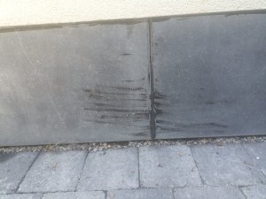 IMG_20230909_114517.jpg
