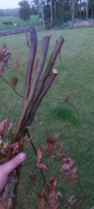 20230910_202313.jpg
