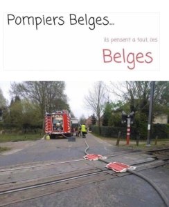 IMG_0350.jpeg
