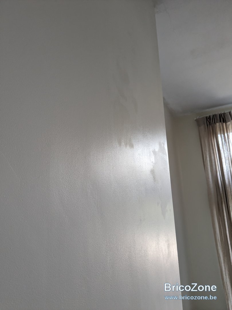 PXL_20230910_114822540.jpg