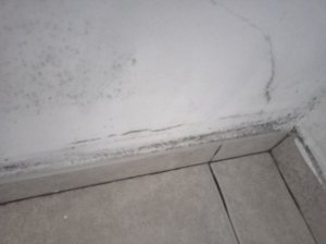 IMG20230915182135.jpg