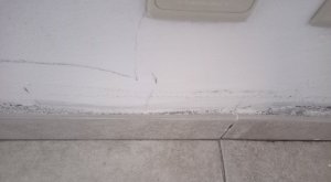 IMG20230915182138.jpg