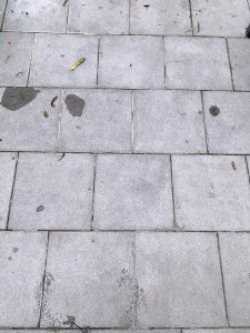 IMG_1135.jpeg