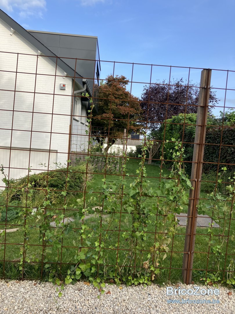 IMG_1807.jpeg