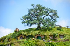 hobbiton-0732.jpg