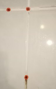 IMG20231016110142.jpg