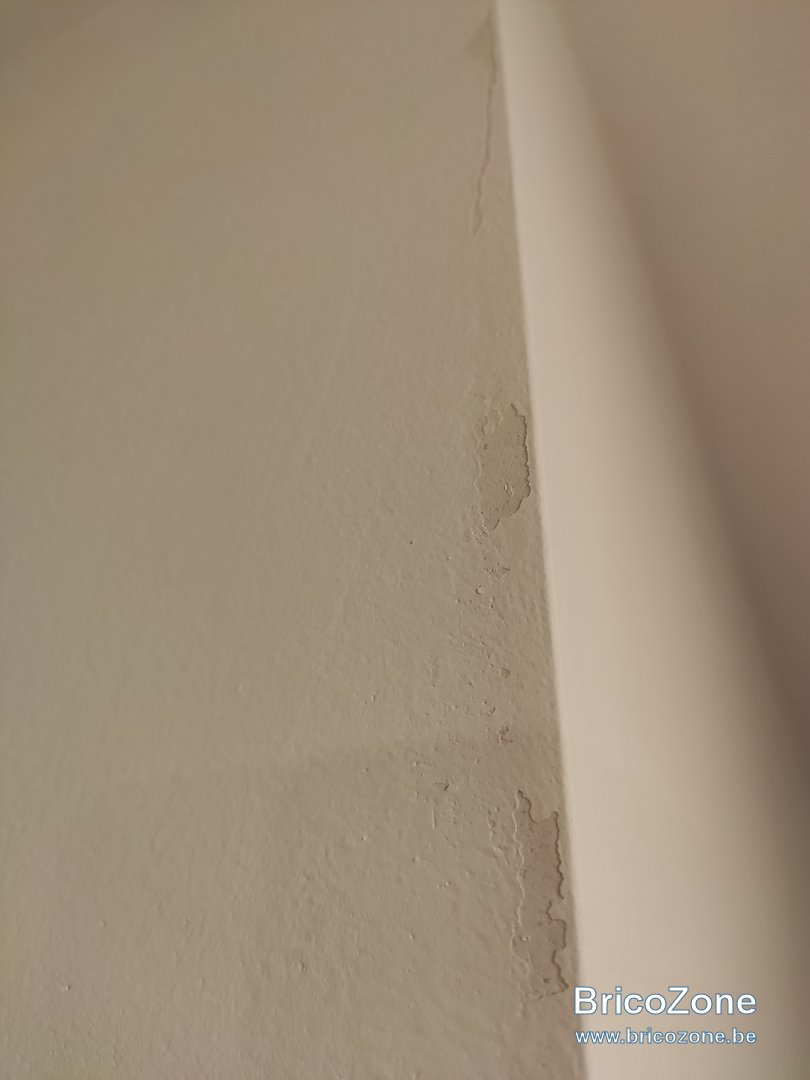 IMG_20231026_201937.jpg