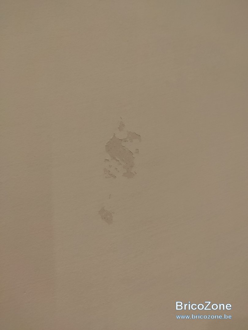 IMG_20231026_201921.jpg