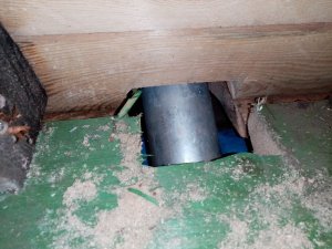 IMG_20231028_101042.jpg