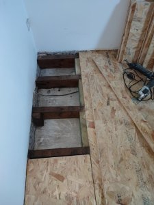 IMG_20231102_081412.jpg