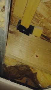 IMG20231106181655.jpg