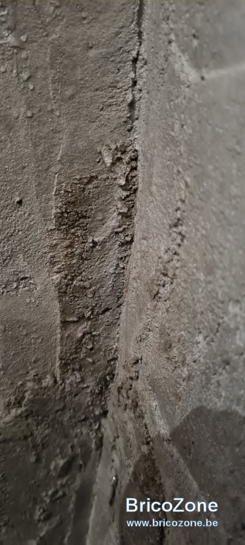 20231111_130914.jpg