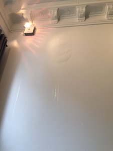 IMG_1307.jpeg