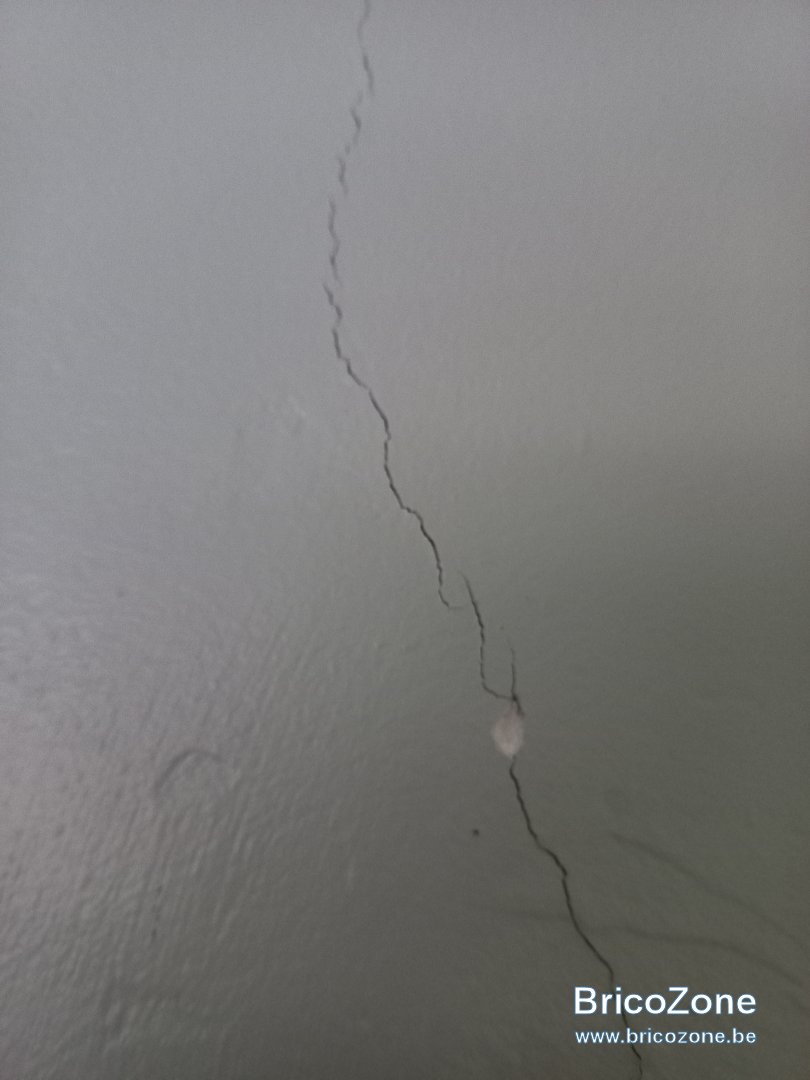 20231121_091819.jpg