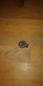 IMG_20231121_073716.jpg