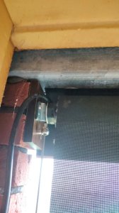 IMG_20231121_103429.jpg