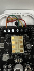 DM_2thumbnail_IMG_2314.jpg
