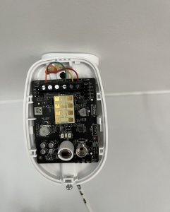 DM_1thumbnail_IMG_2311.jpg