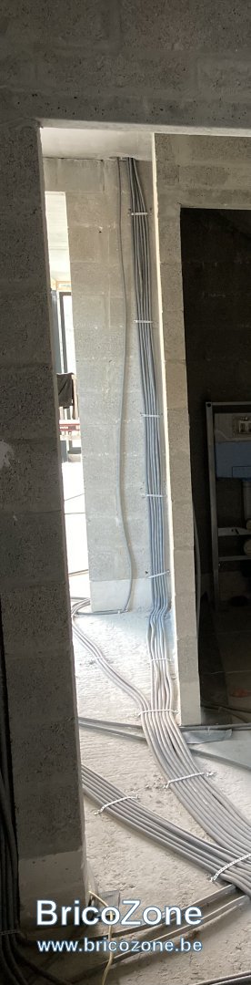 IMG_4039.jpeg