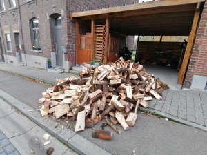 IMG_20231122_151701.jpg