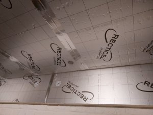 20231203_183609.jpg
