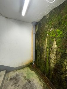 IMG_3060.jpeg