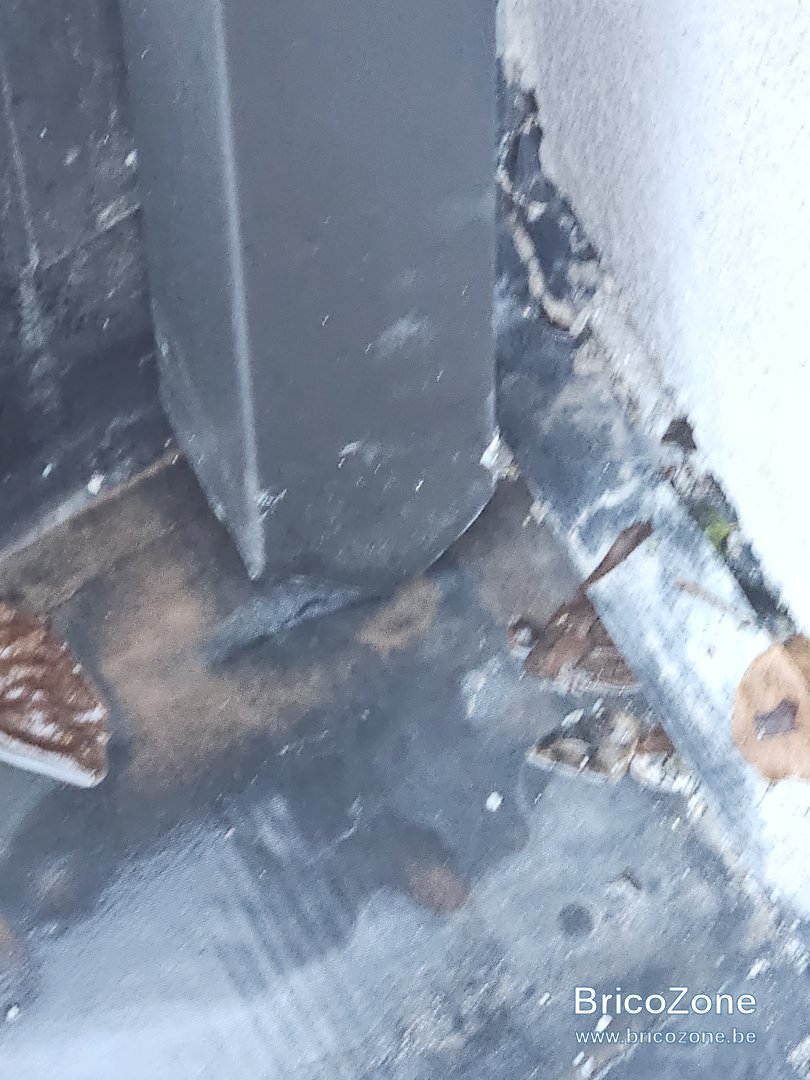 20231212_084611.jpg