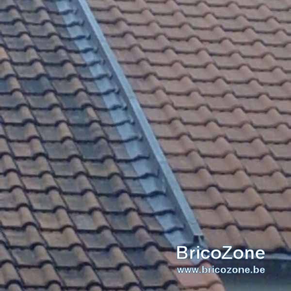 3C55A894-DACB-4249-BB23-14C290395189.jpeg