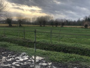 IMG_3432.jpeg