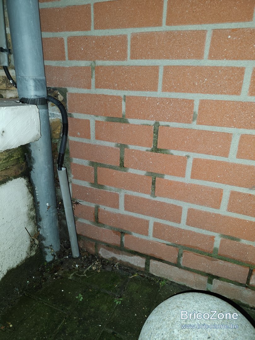 IMG20231117182809.jpg
