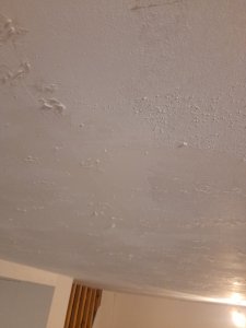 20240107_165735.jpg