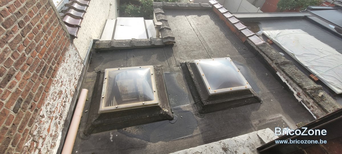20230901_182756.jpg