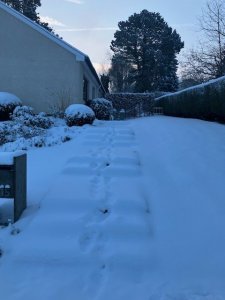 thumbnail_IMG_2138.jpg