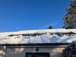 thumbnail_IMG_2146.jpg