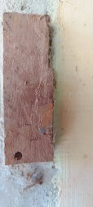 IMG_20240120_112714.jpg
