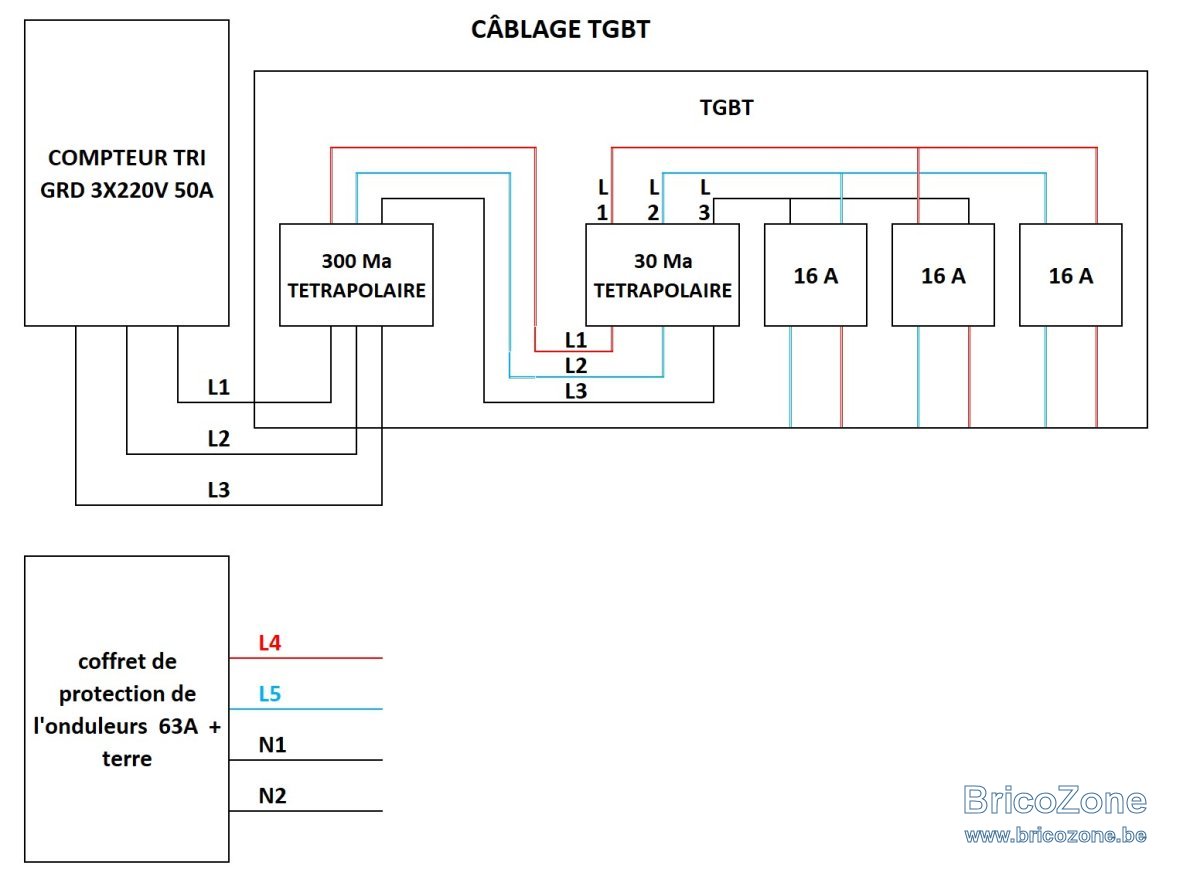 Câblage 2 .jpg