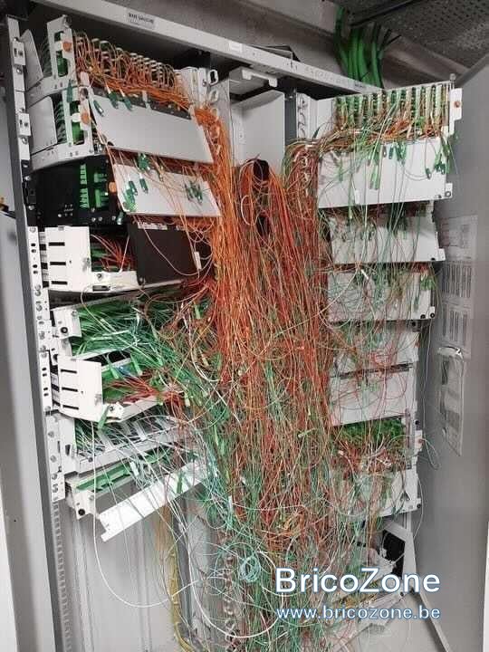 1000011462.jpg