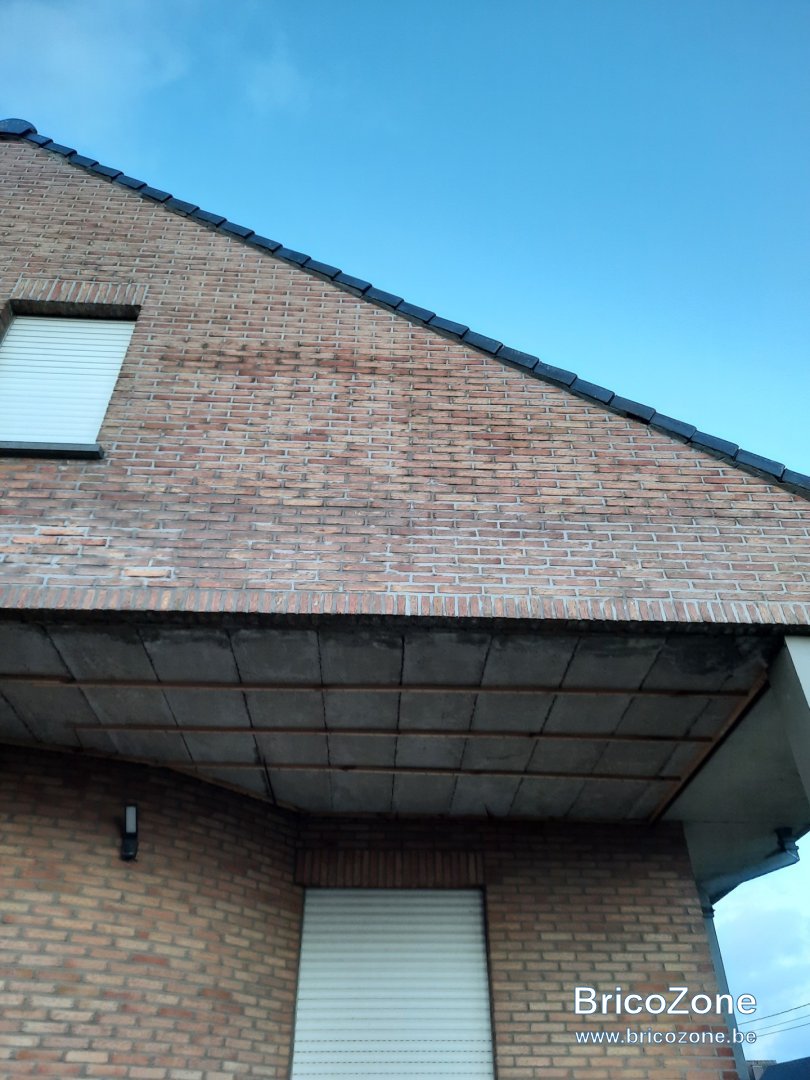 thumbnail_20240122_171703.jpg
