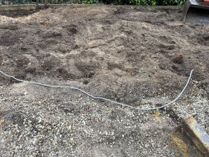 IMG_3426.jpeg