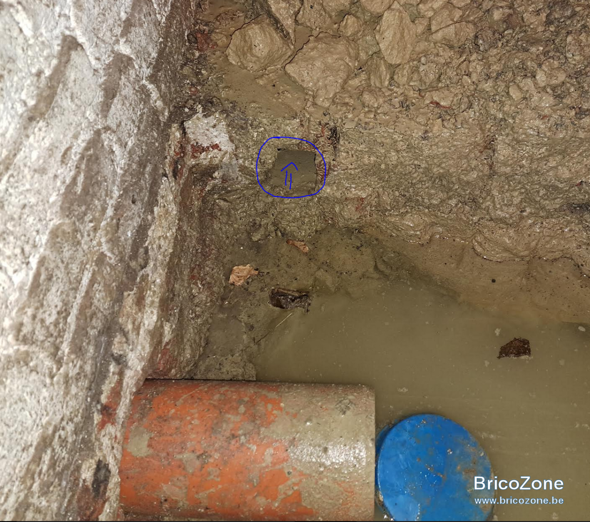upload_2024-2-4_18-3-2.png