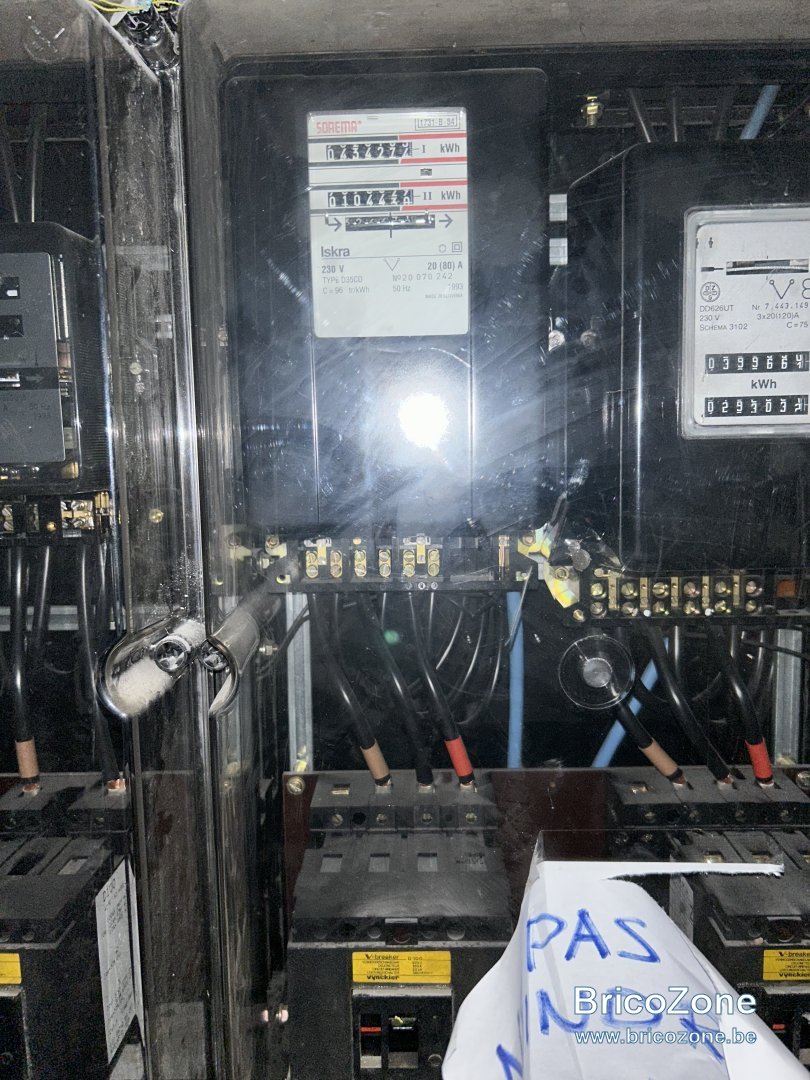 IMG_2207.jpeg