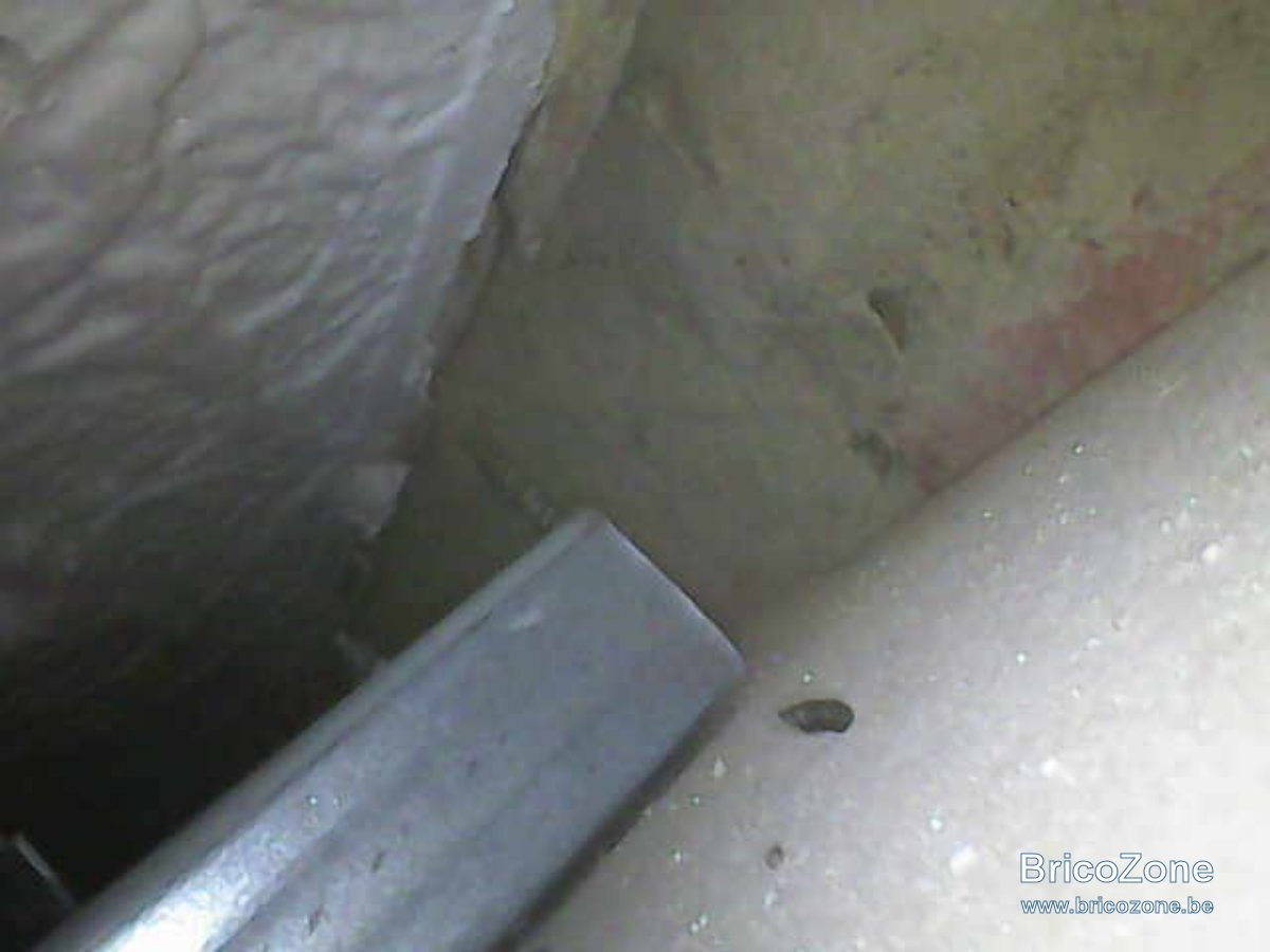 Invasion de rats dans le faux plafond, combles, placo Page 2 — free download