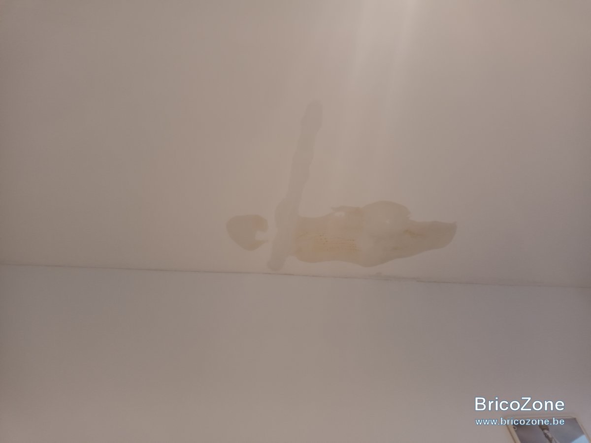 20240221_173741.jpg