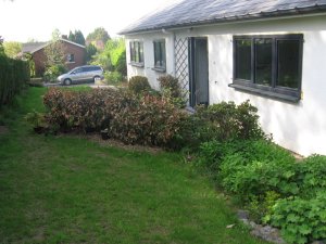 IMG_2113.JPG