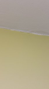 1000007369.jpg 1000007369.jpg