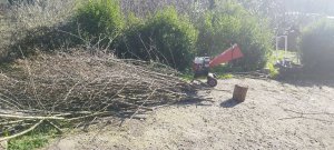 IMG_20240313_171721.jpg