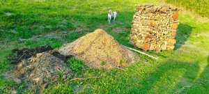IMG_20240313_185400.jpg