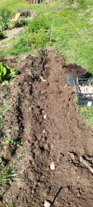 IMG_20240313_111706.jpg