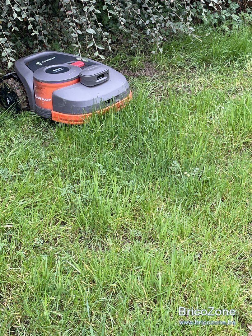 IMG_4931.jpeg