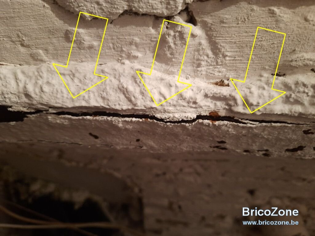 z20240318_113707.jpg
